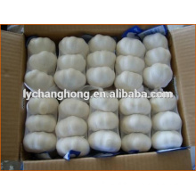 Bulk garlic for sale from Chinese factory